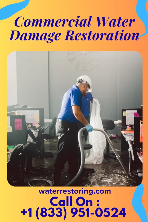 Commercial Water Damage Restoration in McDermitt, NV