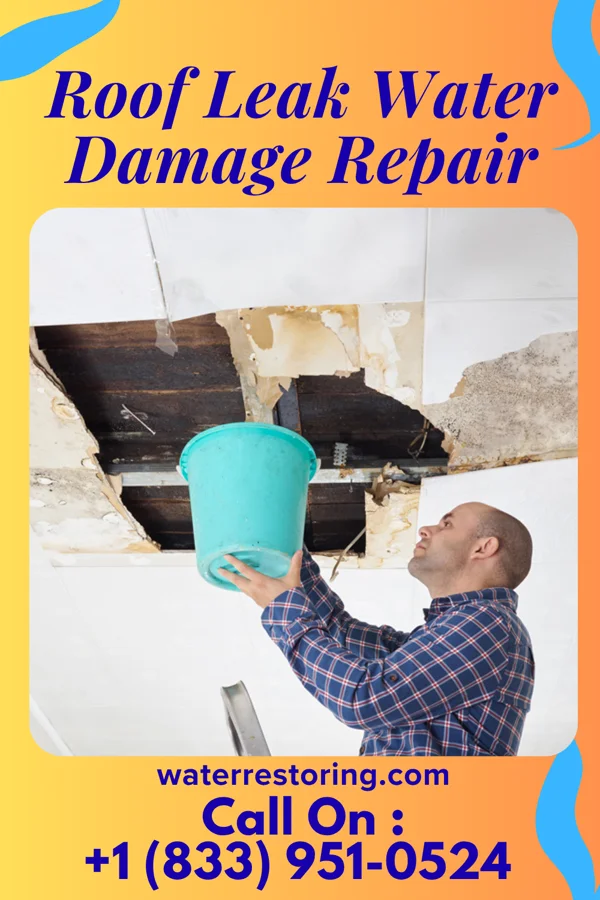 Roof Leak Water Damage Repair in McDermitt, NV