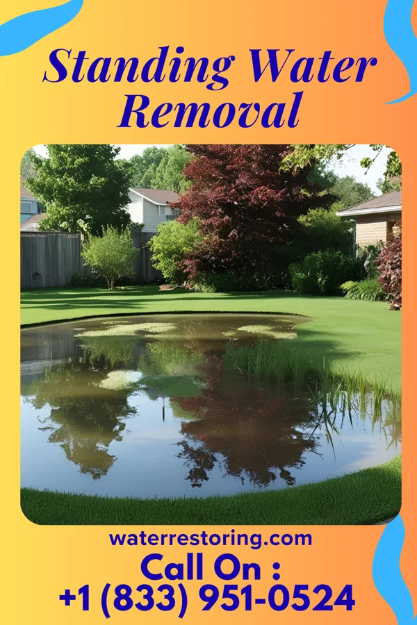 Standing Water Removal in McDermitt, NV